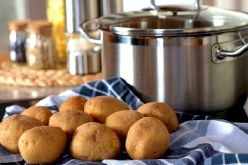 Secret slimming: sweet potato wastewater