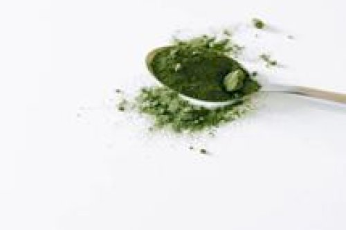 Can Spirulina help you to lose weight?